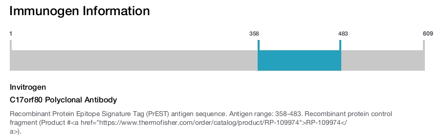 C17orf80 Polyclonal Antibody