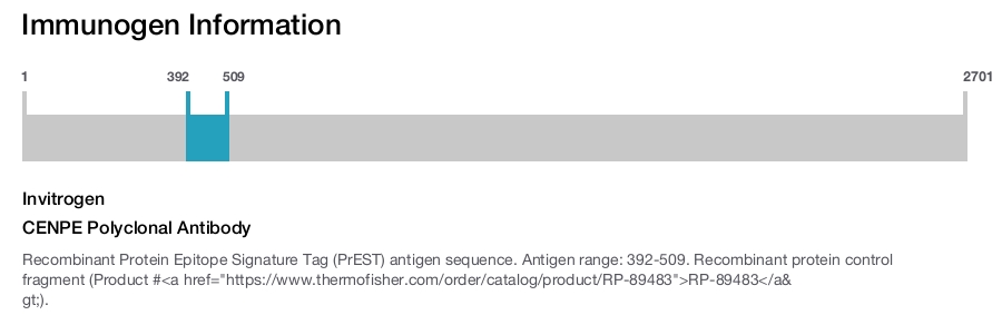 CENPE Polyclonal Antibody
