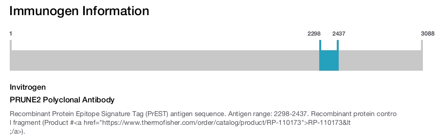 PRUNE2 Polyclonal Antibody