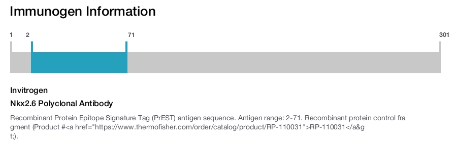 Nkx2.6 Polyclonal Antibody