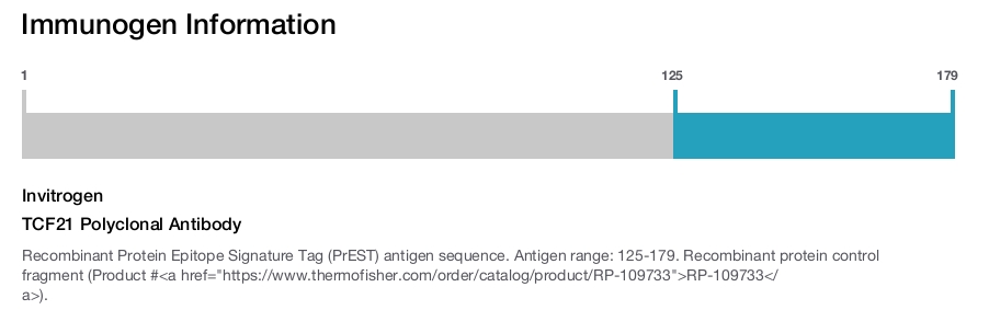 TCF21 Polyclonal Antibody
