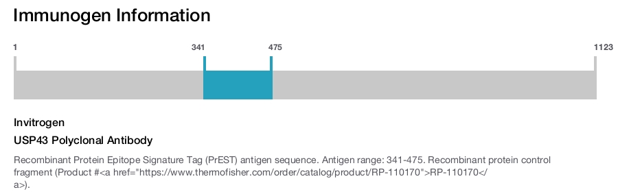 USP43 Polyclonal Antibody