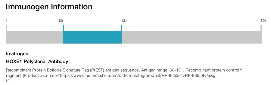HOXB1 Polyclonal Antibody