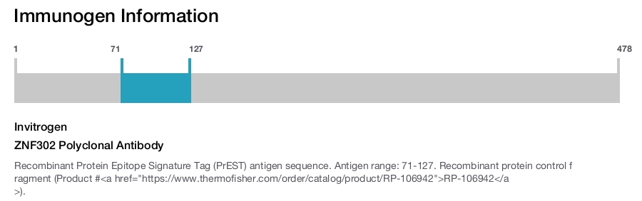ZNF302 Polyclonal Antibody