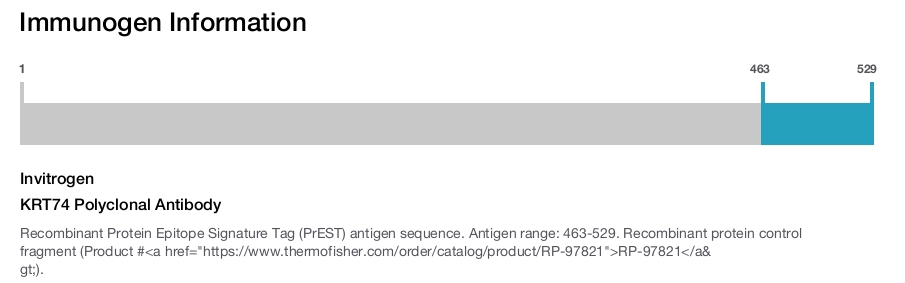 KRT74 Polyclonal Antibody