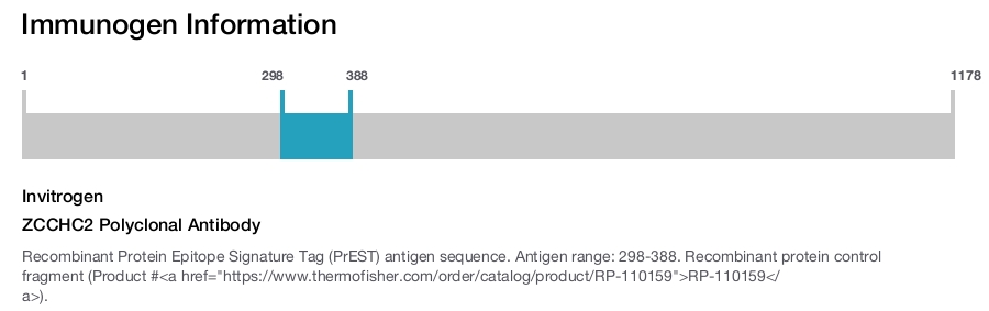 ZCCHC2 Polyclonal Antibody