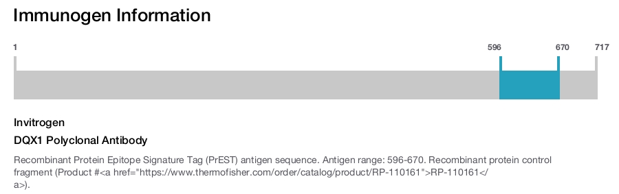 DQX1 Polyclonal Antibody