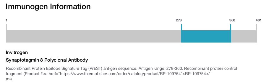 Synaptotagmin 8 Polyclonal Antibody