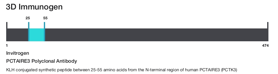 PCTAIRE3 Polyclonal Antibody