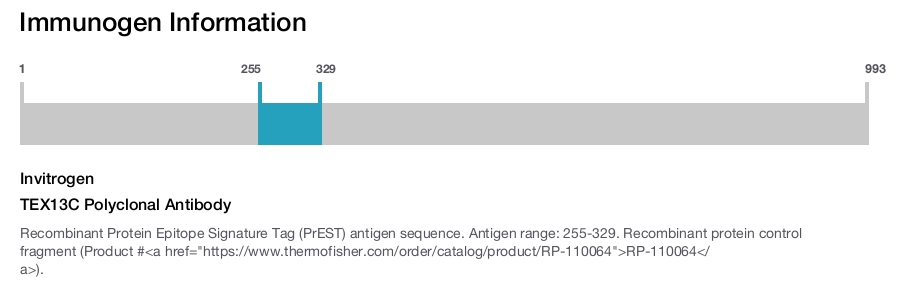 TEX13C Polyclonal Antibody