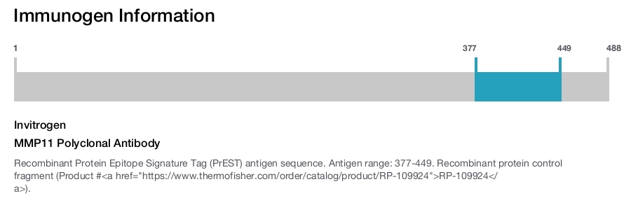 MMP11 Polyclonal Antibody