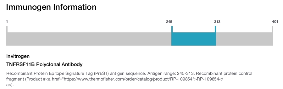 TNFRSF11B Polyclonal Antibody