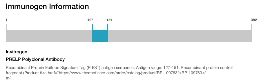 PRELP Polyclonal Antibody