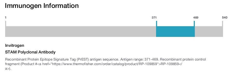 STAM Polyclonal Antibody