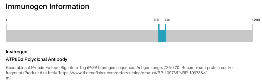 ATP8B2 Polyclonal Antibody
