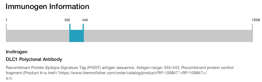 DLC1 Polyclonal Antibody