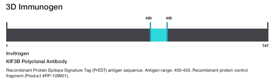 KIF3B Polyclonal Antibody