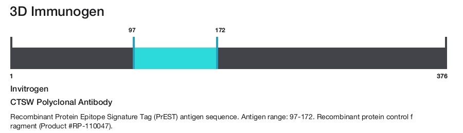 CTSW Polyclonal Antibody