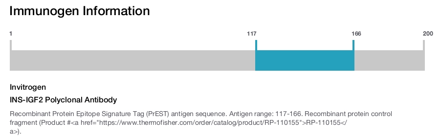 INS-IGF2 Polyclonal Antibody