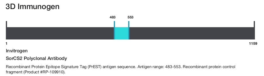 SorCS2 Polyclonal Antibody