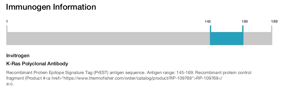 K-Ras Polyclonal Antibody