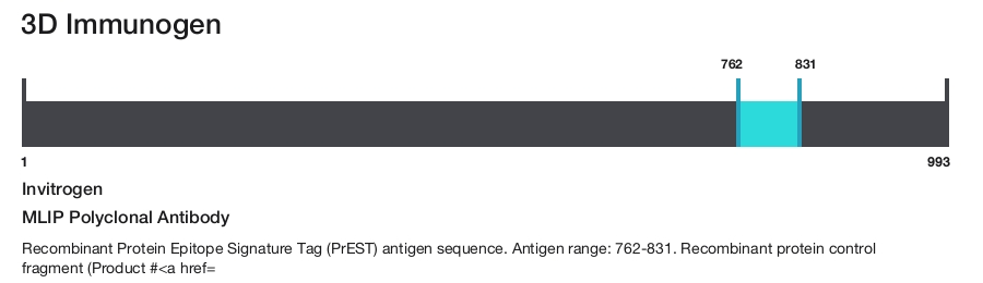 MLIP Polyclonal Antibody