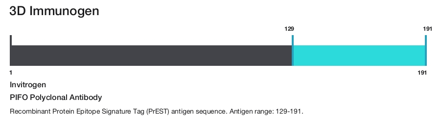 PIFO Polyclonal Antibody