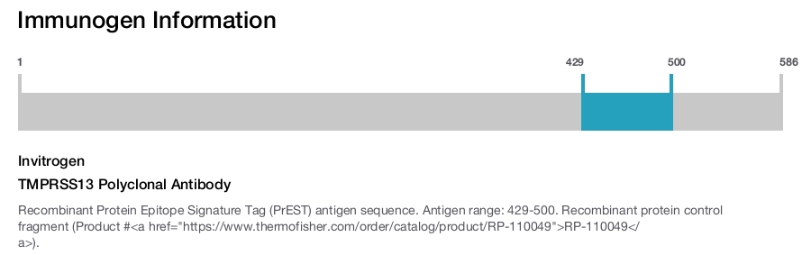 TMPRSS13 Polyclonal Antibody