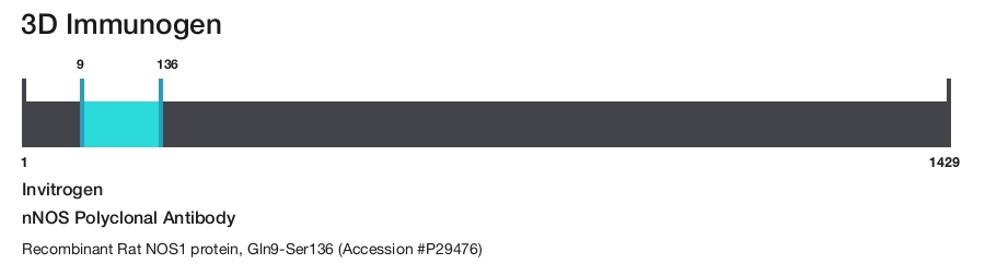 nNOS Polyclonal Antibody
