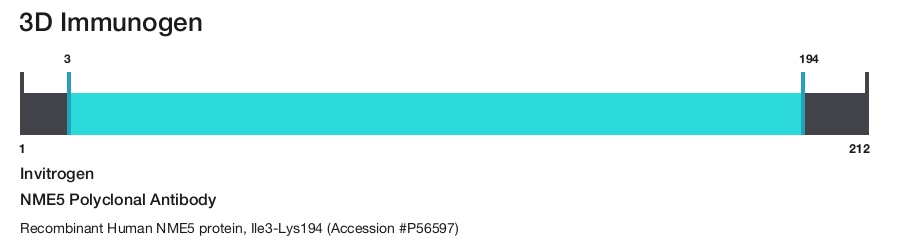 NME5 Polyclonal Antibody