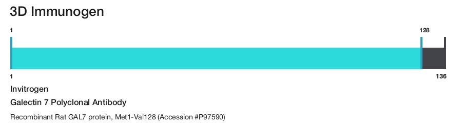 Galectin 7 Polyclonal Antibody
