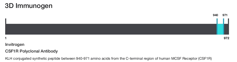 CSF1R Polyclonal Antibody
