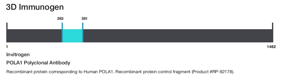 POLA1 Polyclonal Antibody