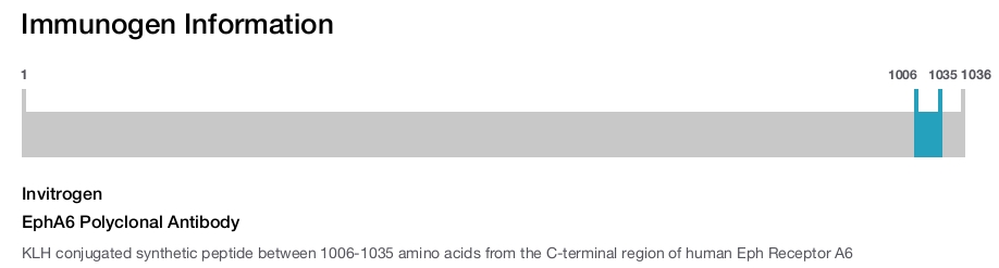 EphA6 Polyclonal Antibody