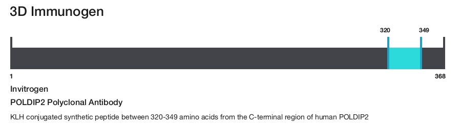 POLDIP2 Polyclonal Antibody