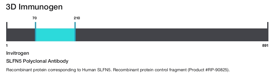 SLFN5 Polyclonal Antibody
