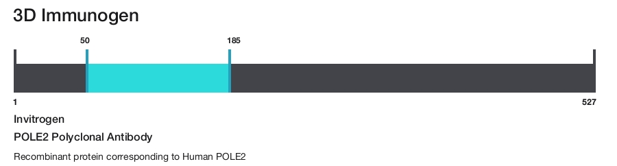 POLE2 Polyclonal Antibody