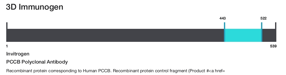 PCCB Polyclonal Antibody
