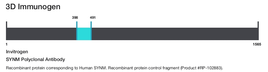 SYNM Polyclonal Antibody
