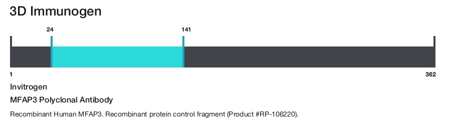 MFAP3 Polyclonal Antibody