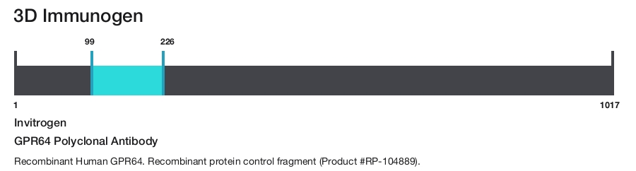 GPR64 Polyclonal Antibody