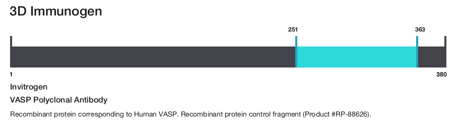 VASP Polyclonal Antibody