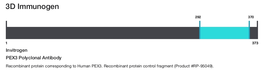 PEX3 Polyclonal Antibody