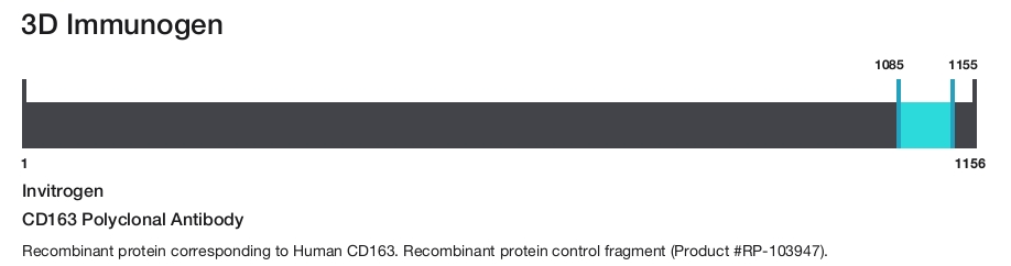 CD163 Polyclonal Antibody