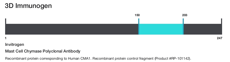 Mast Cell Chymase Polyclonal Antibody