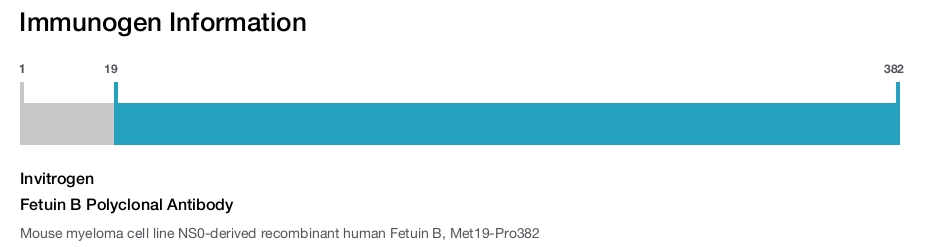 Fetuin B Polyclonal Antibody