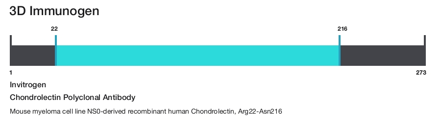 Chondrolectin Polyclonal Antibody