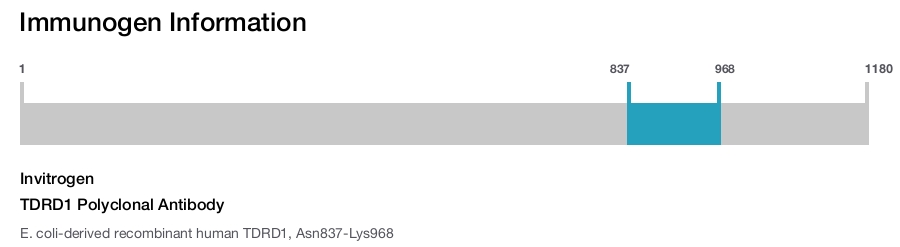 TDRD1 Polyclonal Antibody