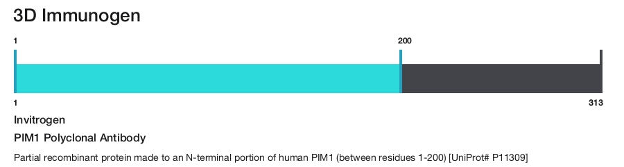 PIM1 Polyclonal Antibody