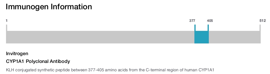 CYP1A1 Polyclonal Antibody